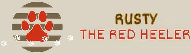A banner with the words " read " and " the return " written in red.